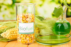 Netherplace biofuel availability